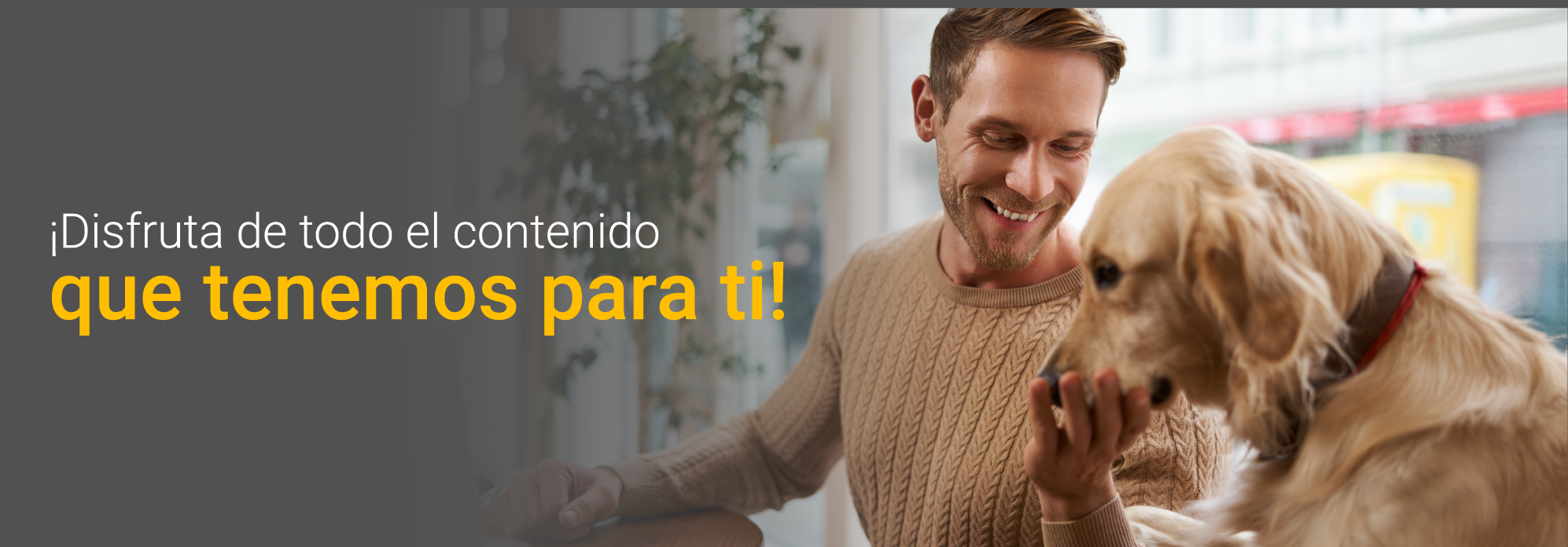 gestiona prime video